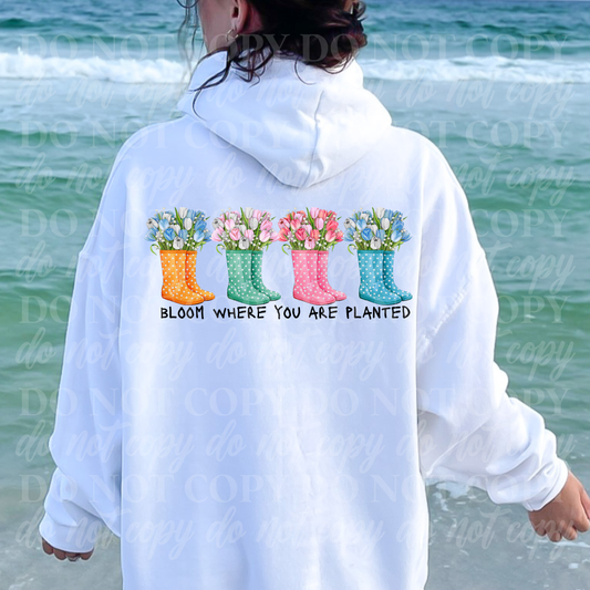 Bloom Where You Are Planted