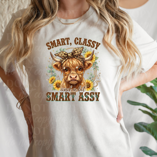 Smart Classy Smart Assy