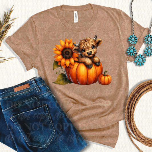 Cow In A Pumpkin
