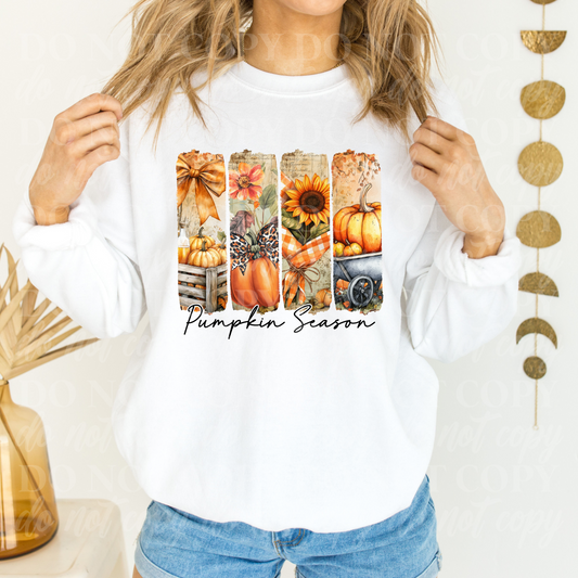 Pumpkin Season-watercolor