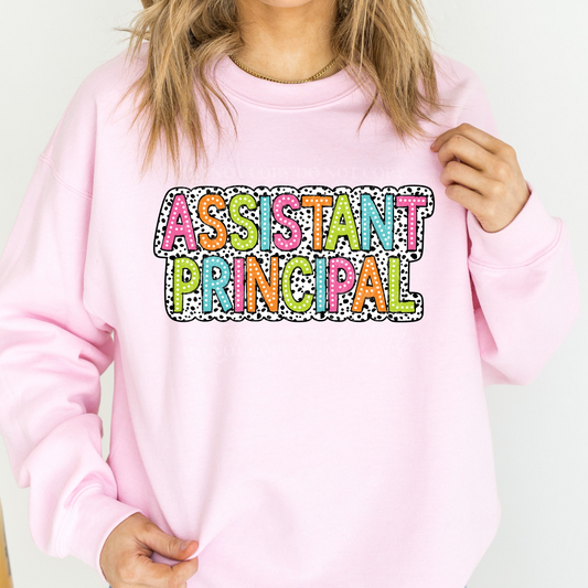 Assistant Principal- Colorful