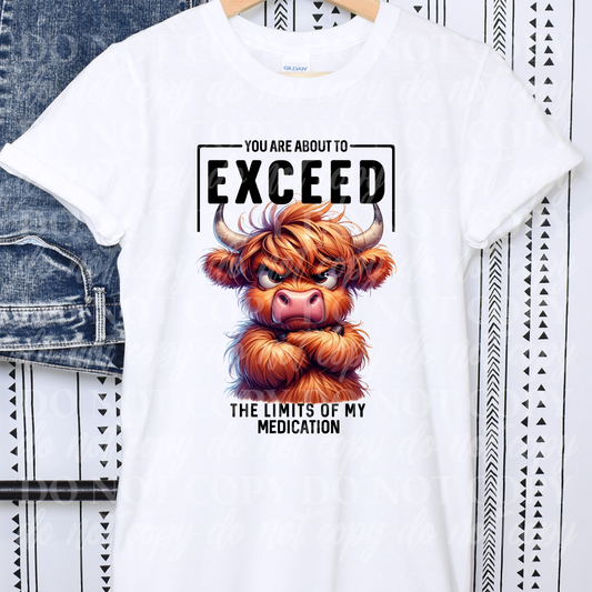 You Are About To Exceed The Limits Of My Medication