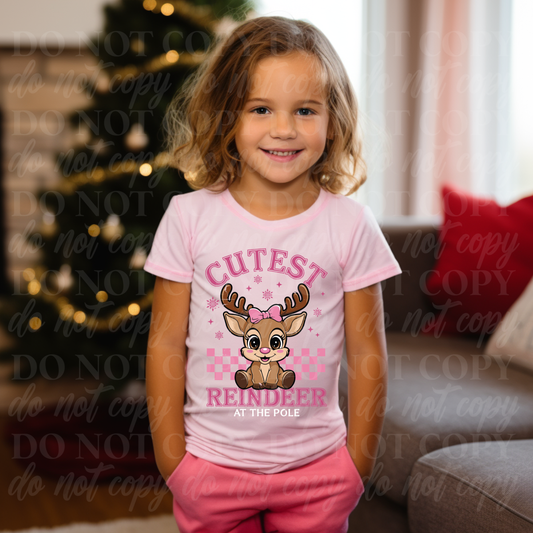 Cutest Reindeer At The Pole