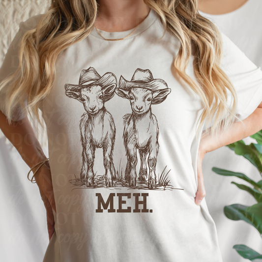 Meh goats