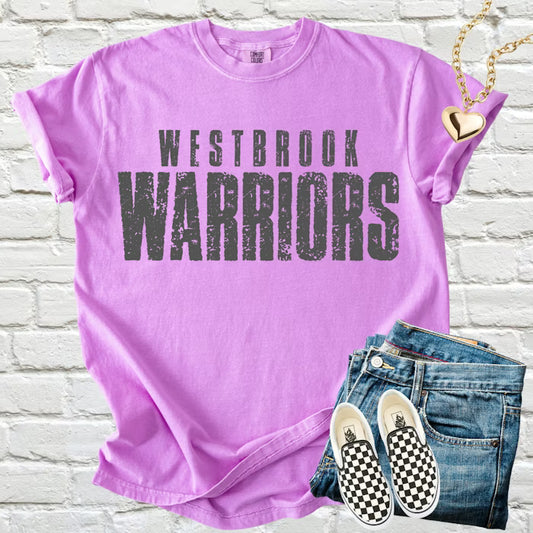 Basic Distressed Font