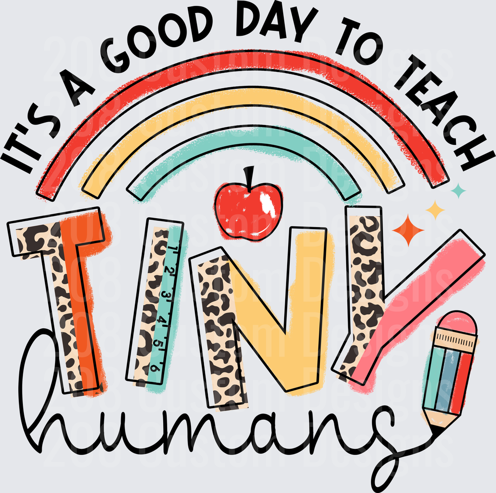 It's A Good Day To Teach Tiny Humans Rainbow Teacher