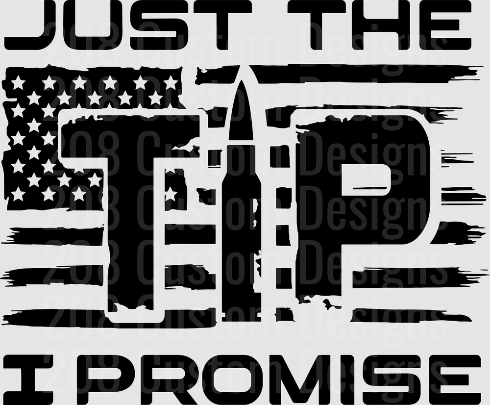 Just The Tip I Promise American Flag Distressed Typography