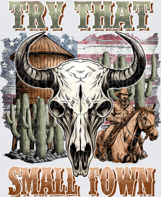 Try Not To Cry Small Town Western Skull Desert Scene