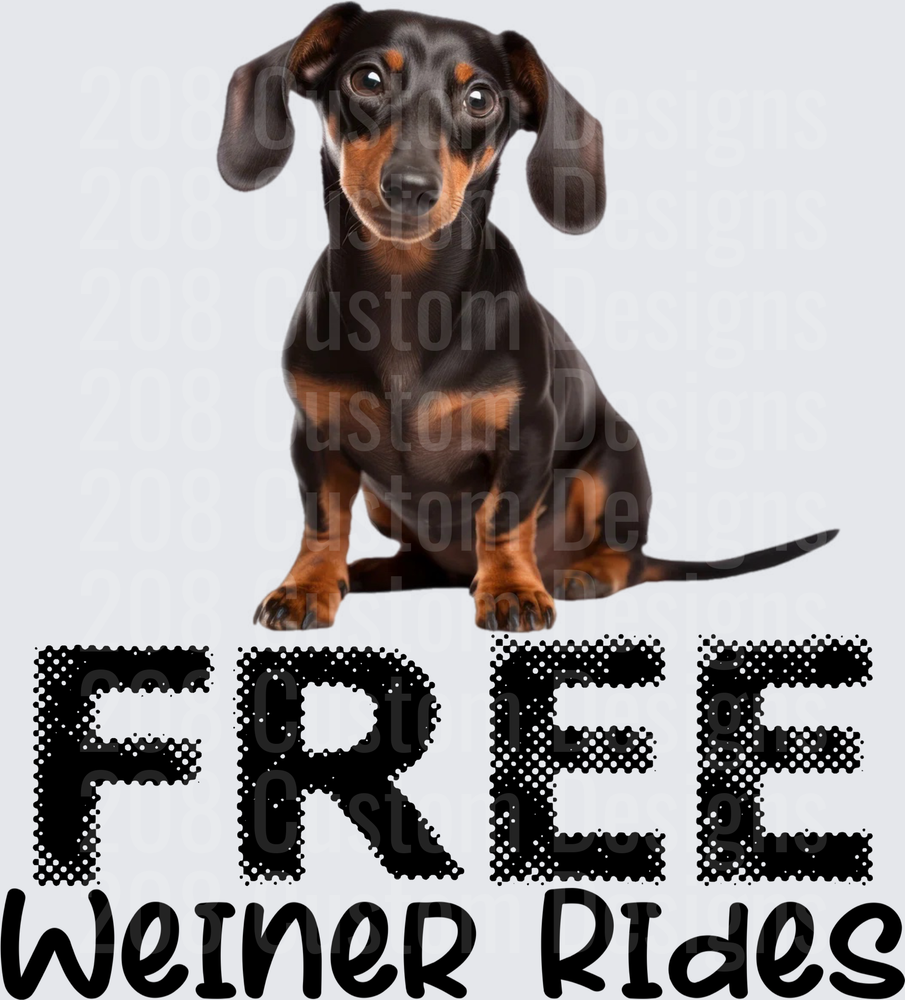 Black and Tan Dachshund Puppy Free Weiner Rides