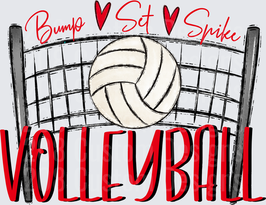 Bump Set Spike Volleyball Net Red Heart Sports Design