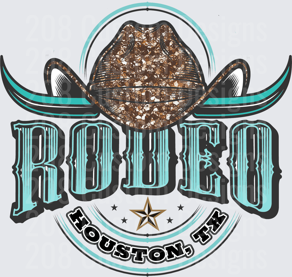 Rodeo Houston Texas Cowboy Hat with Longhorns Western Badge