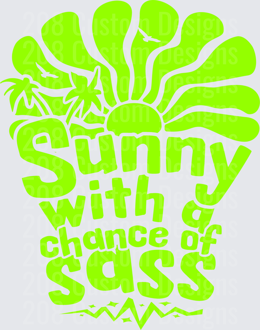 SUNNY WITH A CHANCE OF SASS