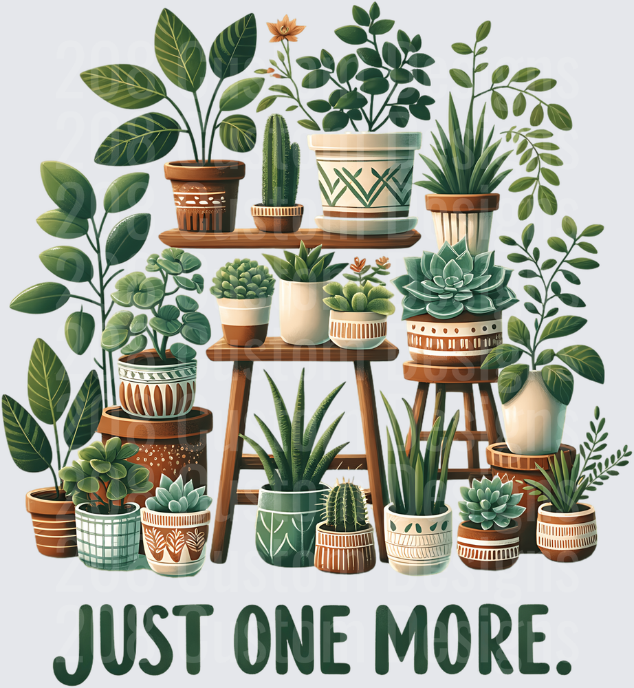 Just One More Plant Collection with Succulents and Cacti