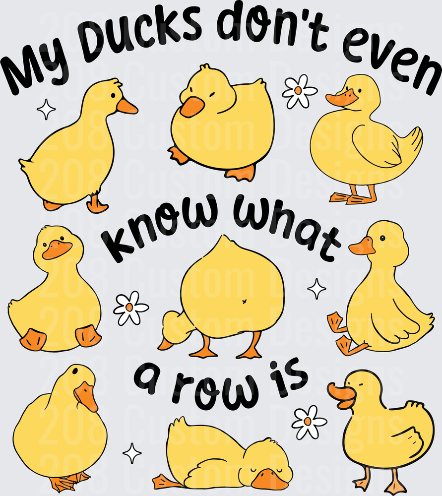 My Ducks Don't Even Know What A Row Is Funny Duck Design