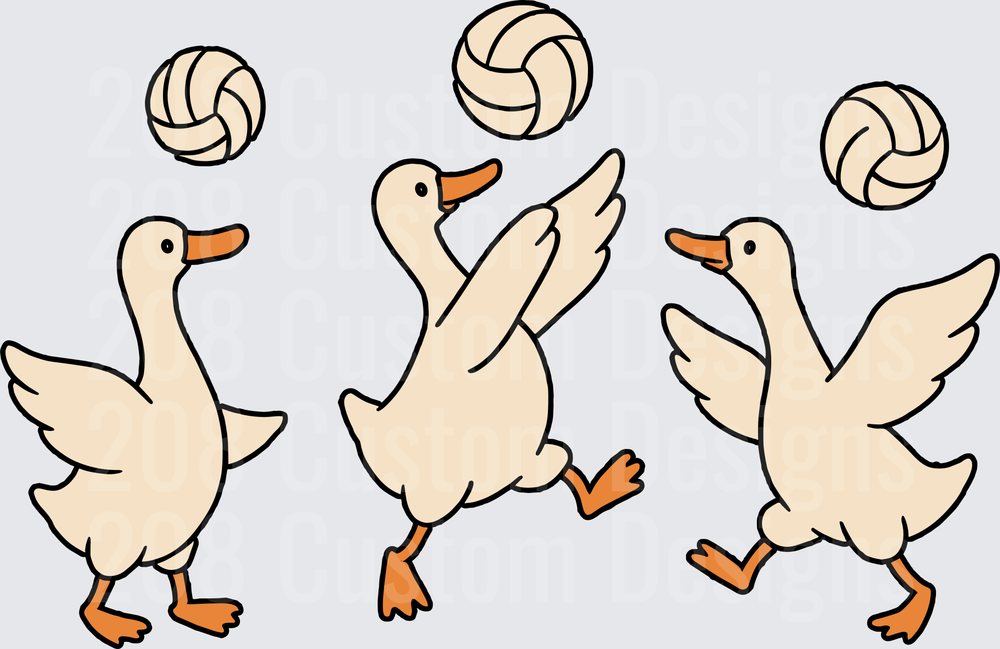 Three Cartoon Ducks Playing Volleyball Sports Design