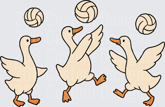 Three Cartoon Ducks Playing Volleyball Sports Design