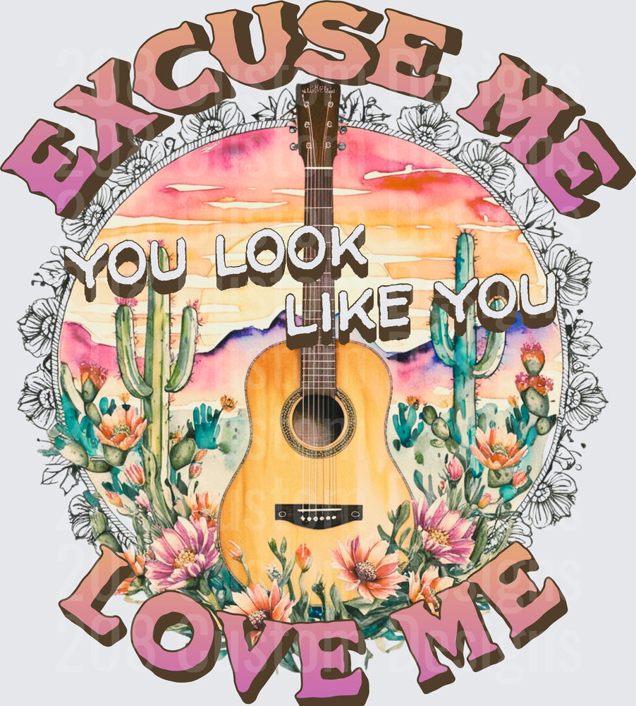 Excuse Me You Look Like You Love Me Country Guitar Desert Design