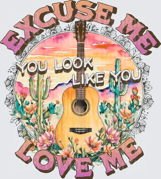 Excuse Me You Look Like You Love Me Country Guitar Desert Design