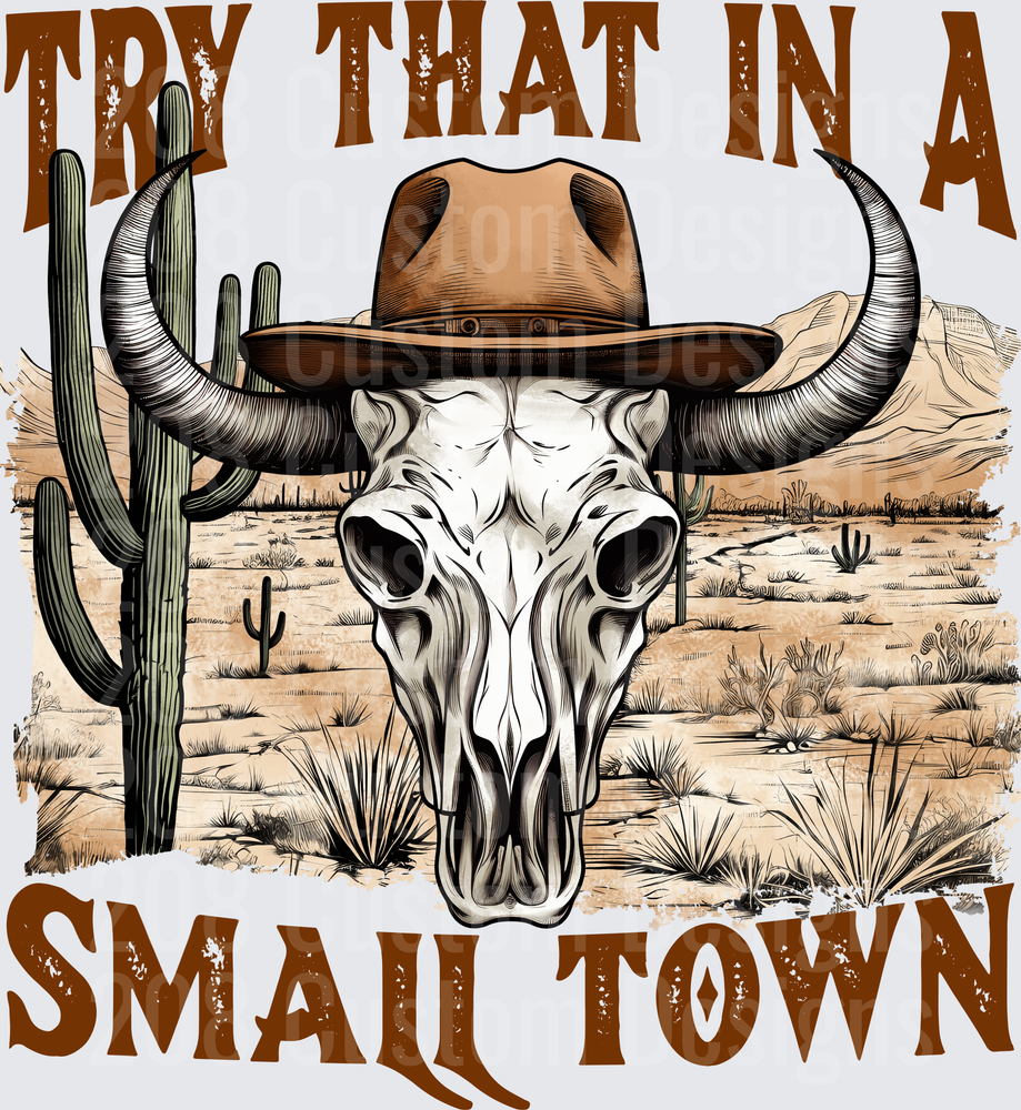 Try That In A Small Town Bull Skull Desert Western