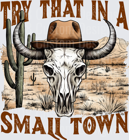 Try That In A Small Town Bull Skull Desert Western