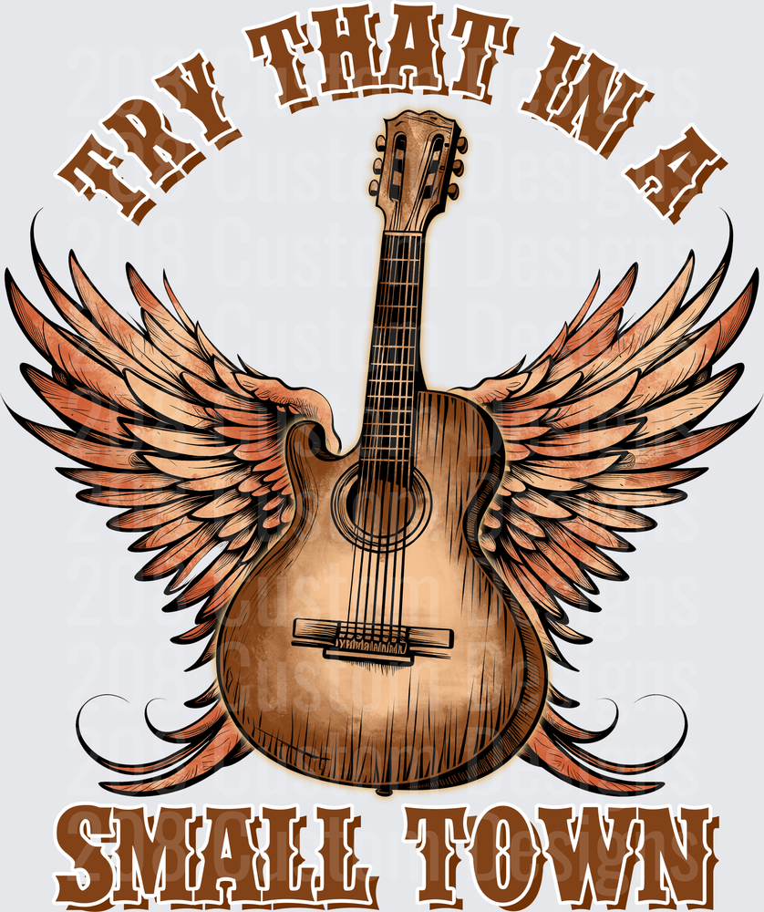 Winged Acoustic Guitar Fly That In A Small Town Design
