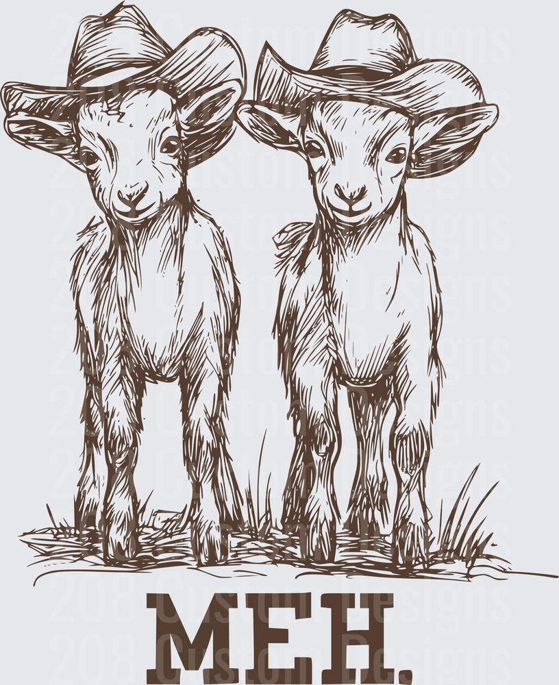 Two Baby Goats in Cowboy Hats with MEH Text