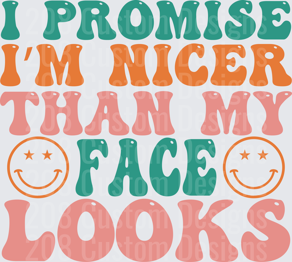 I Promise I'm Nicer Than My Face Looks Retro Typography