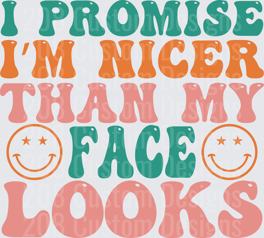 I Promise I'm Nicer Than My Face Looks Retro Typography