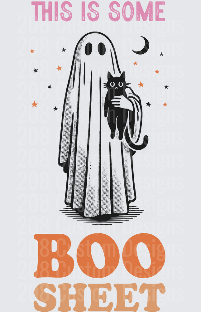 This Is Some Boo Sheet Ghost Holding Black Cat Halloween