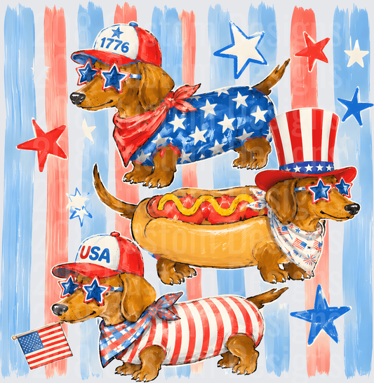 Patriotic Dachshund Dogs in American Flag Outfits and Hot Dog Costume