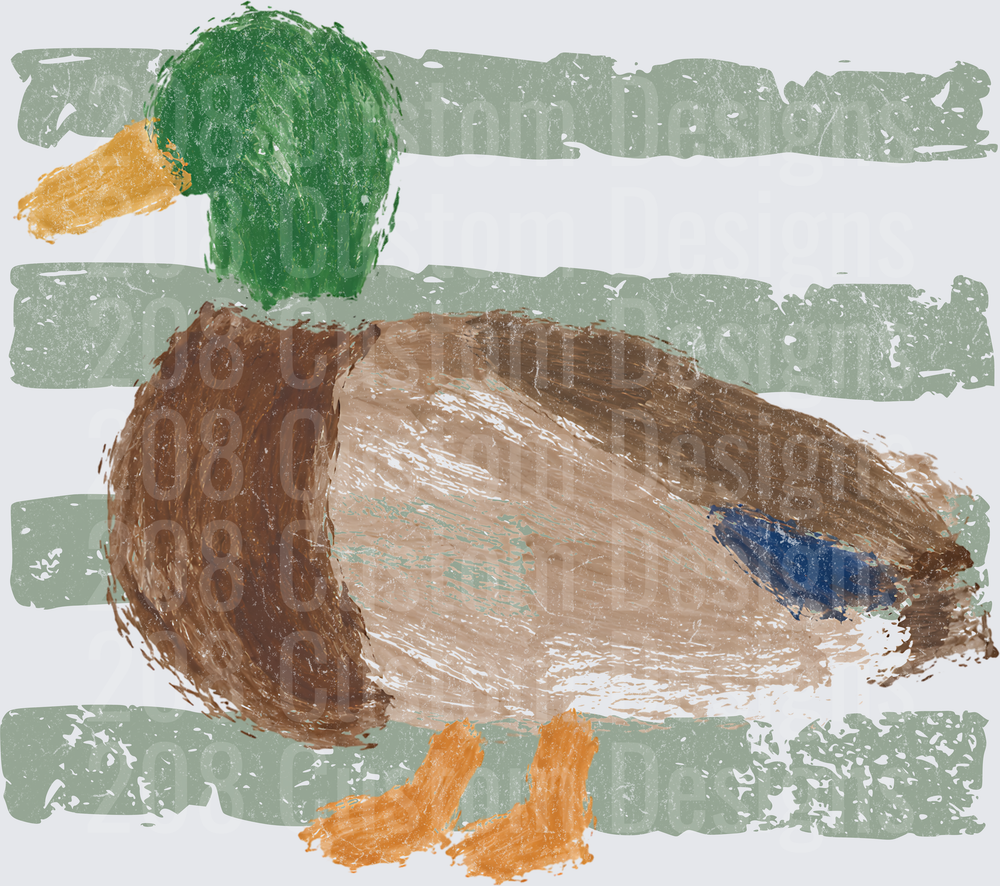Crayon Mallard Sketch