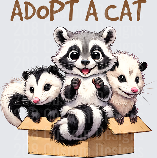 Adopt A Cat Cute Baby Raccoon and Opossums in Cardboard Box